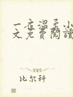 一夜温柔小说全文免费阅读无弹窗