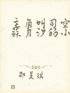 主角叫司空靖,苏月汐的小说《狂兽战神》