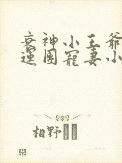 衰神小王爷的福运团宠妻小说txt