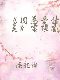 《因为爱情有多美》电视剧