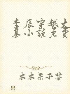 李辰穿越大魏登基小说免费阅读