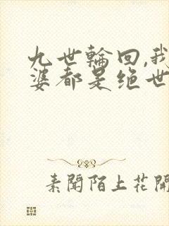 九世轮回,我老婆都是绝世女帝