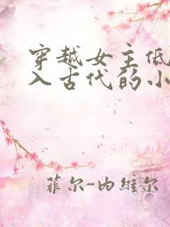 穿越女主低调融入古代的小说
