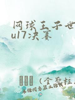 网球王子世界杯u17决赛