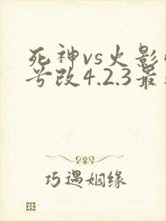 死神vs火影雨兮改4.2.3最新版本