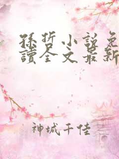 孙哲小说免费阅读全文最新章节