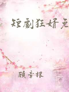 短剧狂婿免费看