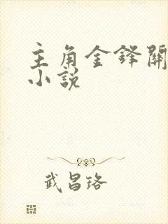 主角金锋关晓柔小说