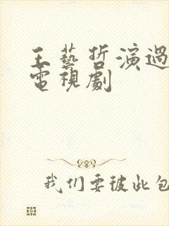 王艺哲演过哪些电视剧