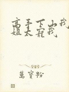 高手下山我的师姐太宠我