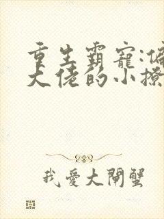 重生霸宠:偏执大佬的小撩精恃美行凶