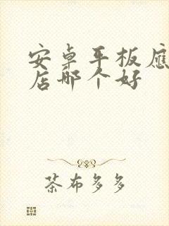 安卓平板应用商店哪个好