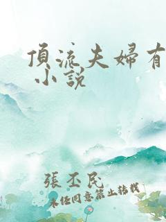 顶流夫妇有点甜 小说