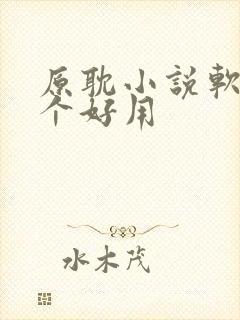 原耽小说软件哪个好用