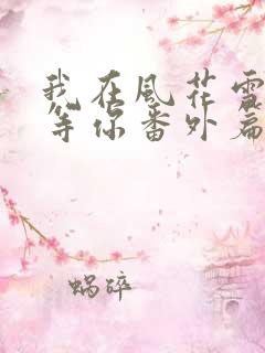 我在风花雪月里等你番外篇