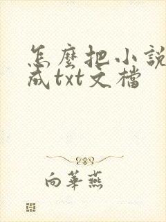 怎么把小说下载成txt文档