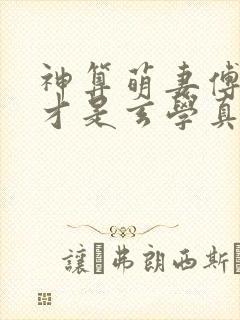 神算萌妻傅太太才是玄学真大佬易小升