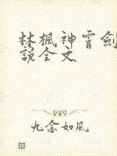 林枫神霄剑宗小说全文