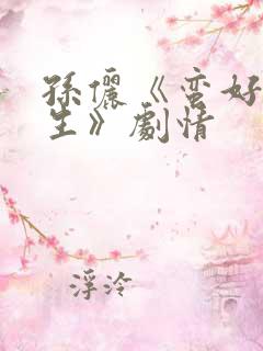 孙俪《蛮好的人生》剧情