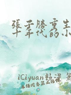 张子胜重生在七十年代的小说推荐