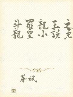 斗罗龙王之光暗龙皇小说免费阅读