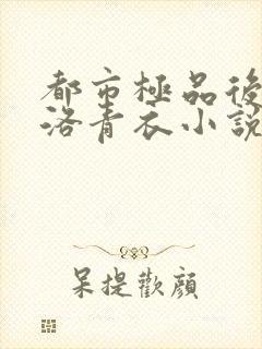 都市极品后宫 洛青衣小说