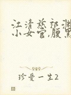 江清慈祁渊替身小女官,腹黑帝王沦陷了最