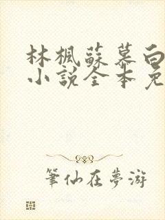 林枫苏慕白穿越小说全本免费阅读正在手打中