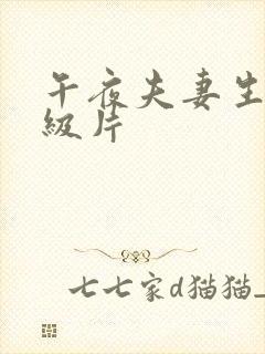 午夜夫妻生活一级片