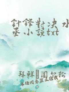 针锋对决 水千丞小说txt