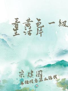 看黄色一级夫妻生活片