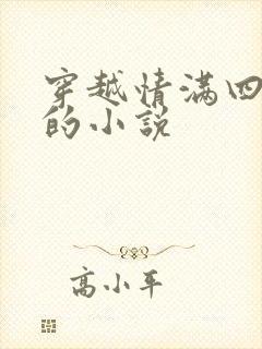 穿越情满四合院的小说