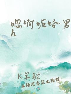 嗯啊呃哈男男高h