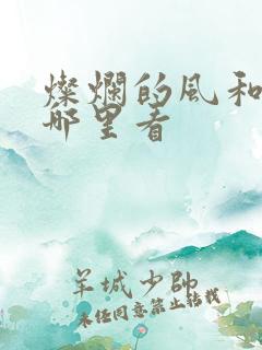 灿烂的风和海在哪里看