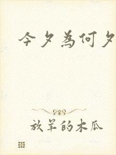 今夕为何夕观看