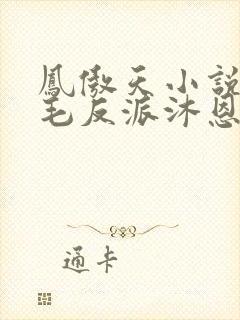 凤傲天小说里黄毛反派沐恩