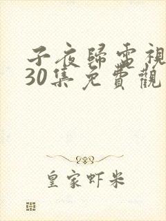 子夜归电视剧第30集免费观看