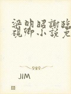 梁明昭谢临飞沈砚卿小说免费阅读