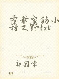 霍爷家的小祖宗甜又野txt