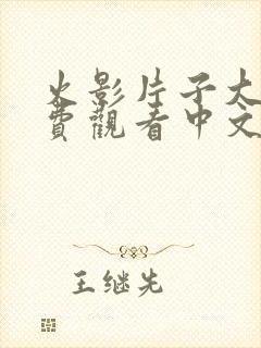 火影片子大全免费观看中文版