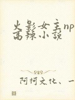 火影女主np的高辣小说