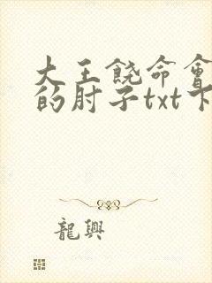 大王饶命会说话的肘子txt下载