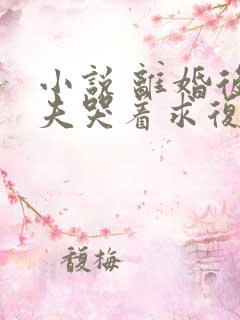 小说 离婚后前夫哭着求复婚