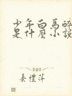 少年白马醉春风是什么小说改编的