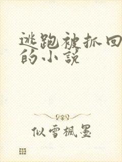 逃跑被抓回惩罚的小说