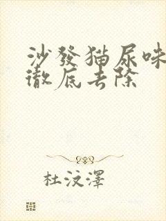 沙发猫尿味怎么彻底去除