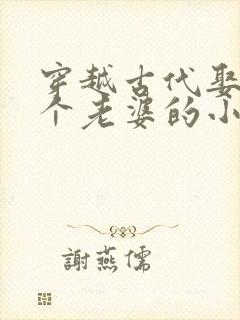 穿越古代娶了三个老婆的小说