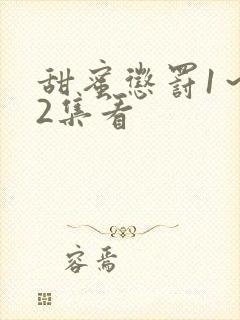 甜蜜惩罚1～12集看