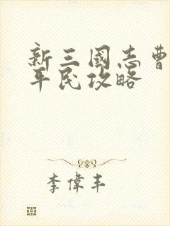 新三国志曹操传平民攻略