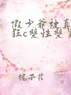 假少爷被真少爷狂c双性双男主